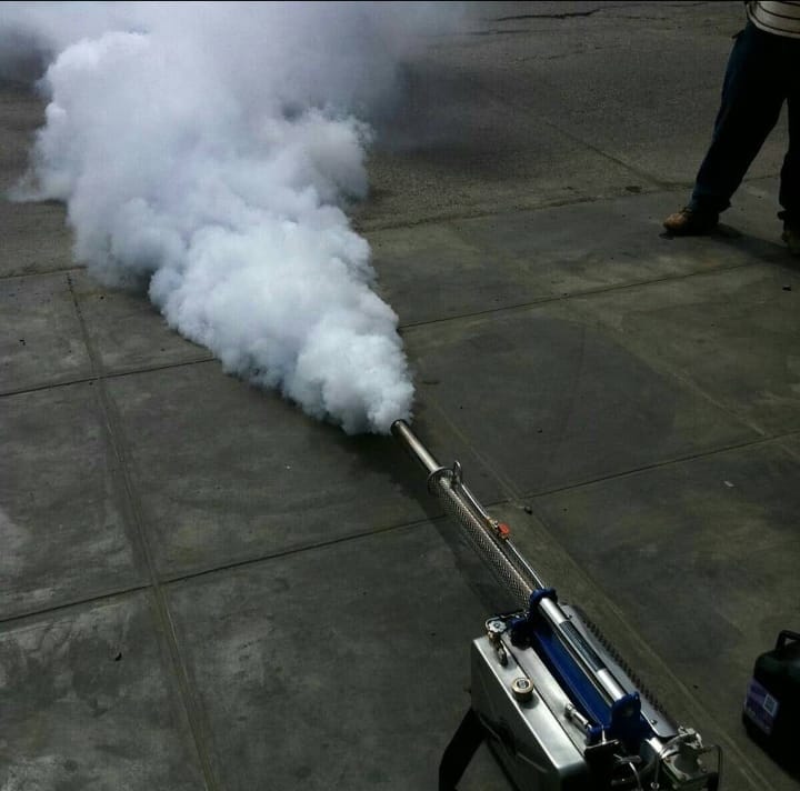 BEDBUGS EXTERMINATION