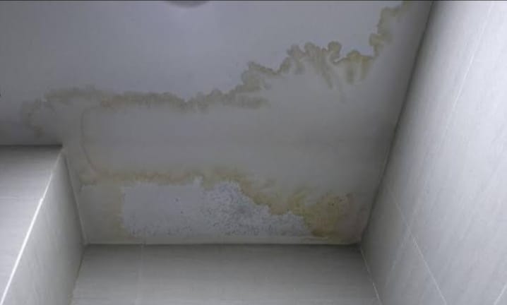 MOLD TREATMENT