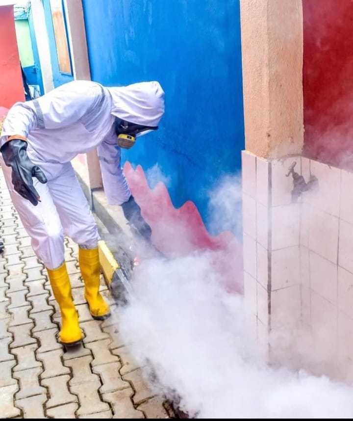 SCHOOL BEDBUGS EXTERMINATION